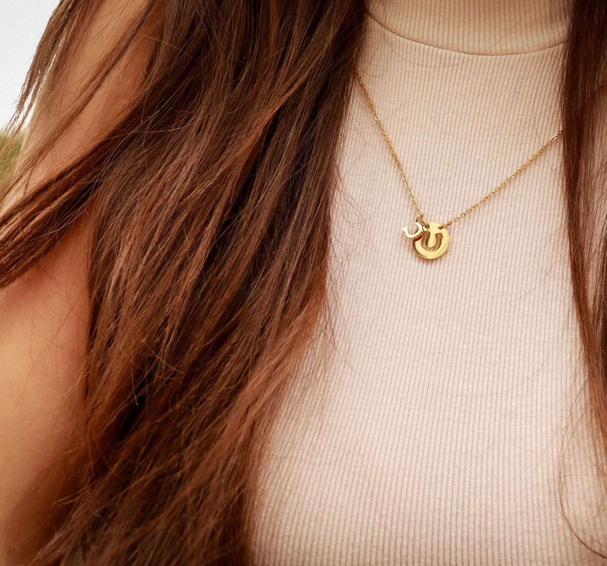 Horseshoe Necklace